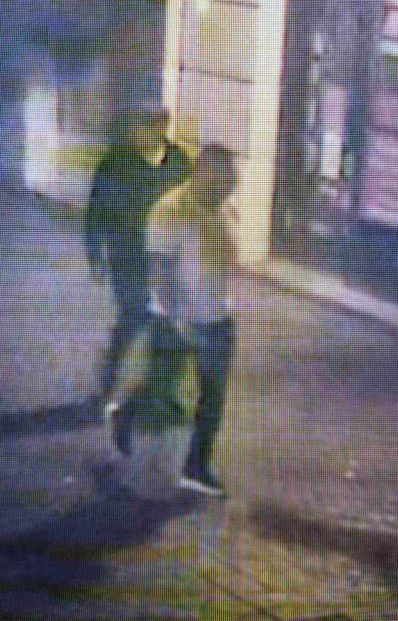 Osumnjičeni za napad na mladiće u Novom Sadu