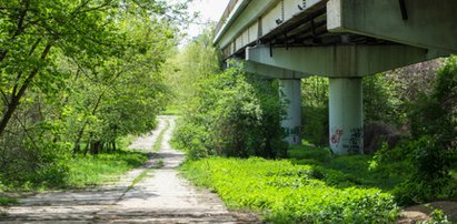 Nowa ścieżka rowerowa połączy centrum z Piątkowem?