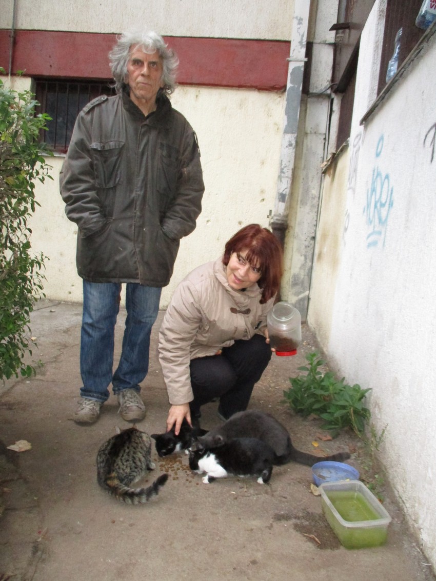 Mačke imaju tri obroka dnevno i medicinsku negu