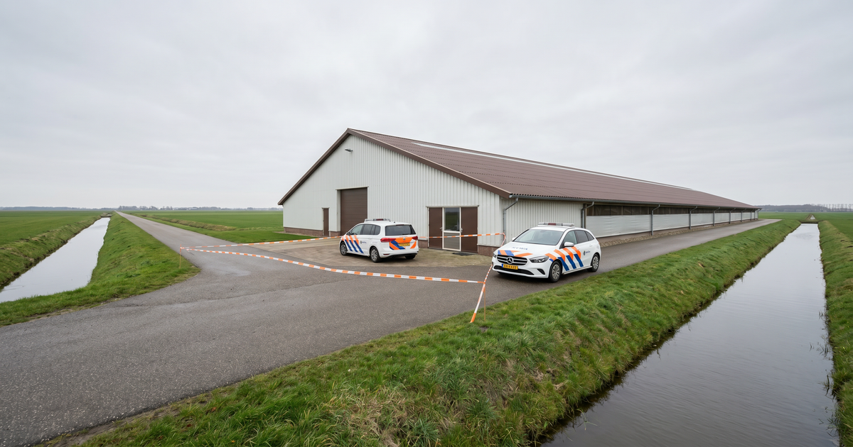 55.000 kippen geruimd na vogelgriep in Biddinghuizen - verplichte vaccinatie in de maak