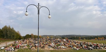 Będą dwie ekshumacje na elbląskim cmentarzu? Wszystko po doniesieniach w sprawie zachowań grabarzy