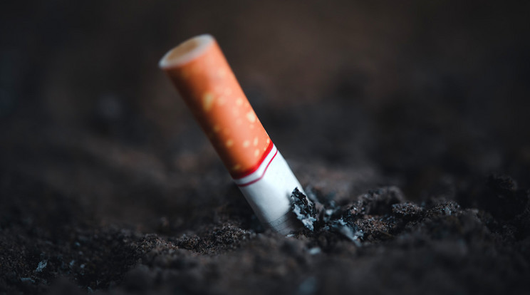 A cigaretta nem csak akkor pusztít, ha elszívják. Az eldobált szálak vagy csikkek különféle vegyi anyagokat, például műanyagokat tartalmaznak, amelyek a talajba jutva még hosszú ideig károsítják a környzetet. Ezt most filmre is vették. / Fotó: NorthFoto