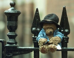 Miś Paddington w towarzystwie największych gwiazd kina