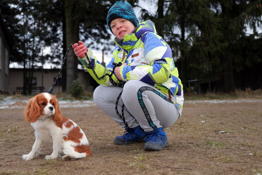 Suczka Abi uczy się być dogoterapeutką