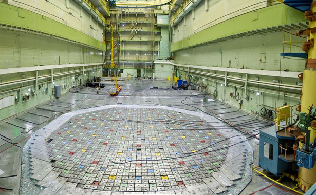 Hala centralna reaktora jądrowego, pokrywa reaktora, konserwacja i wymiana elementów paliwowych reaktora