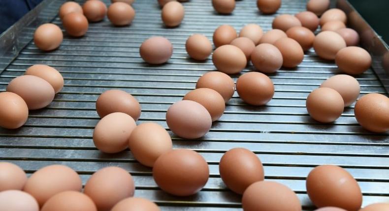 A special five-hour session of the Dutch parliament's economics commission focused on the tainted-egg scandal