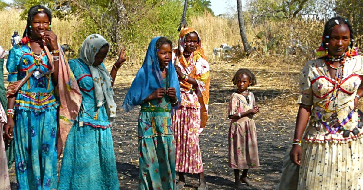  Fulani: A brief walk into the origin and lifestyle of this beautiful ...