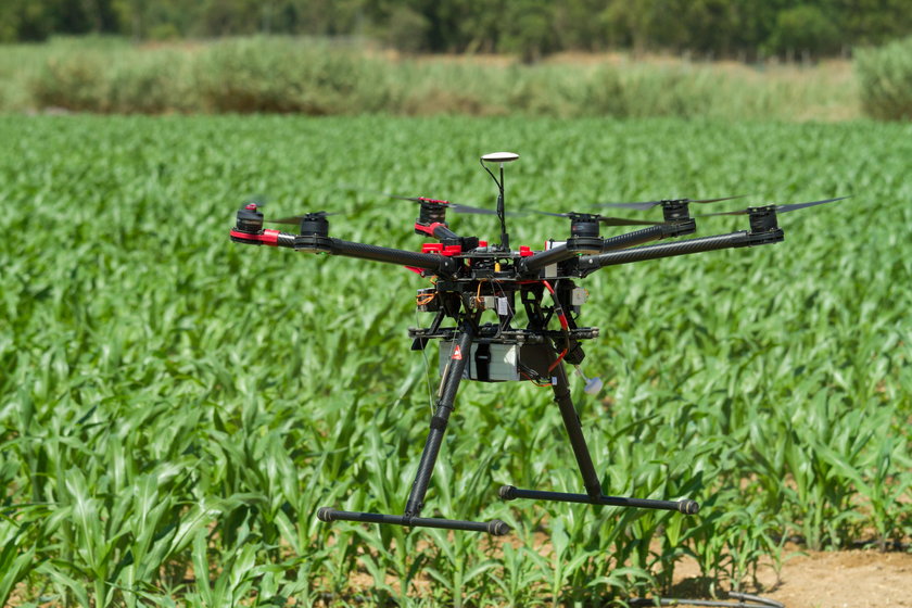 Drony w rolnictwie
