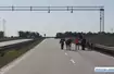 Policjanci eskortowali konie na autostradzie A4
