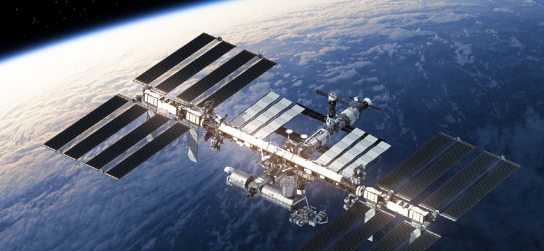 Orbitalny eksperyment na myszach. "Być może reprodukcja ssaków w kosmosie jest możliwa"