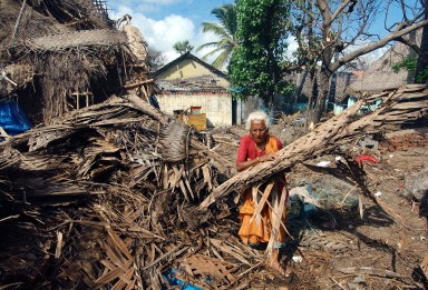 INDIA-ASIA-QUAKE-TSUNAMI-PALM-WOMAN