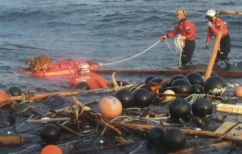 Tsunami w Polsce! Zaleje cały kontynent! To zabije miliony! I to już...