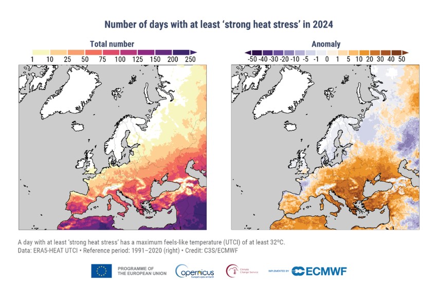Broj dana sa bar jednim toplotnim talasom u 2024. godini