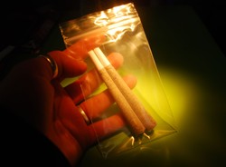 Palenie marihuany obniża IQ. Bez szansy na poprawę