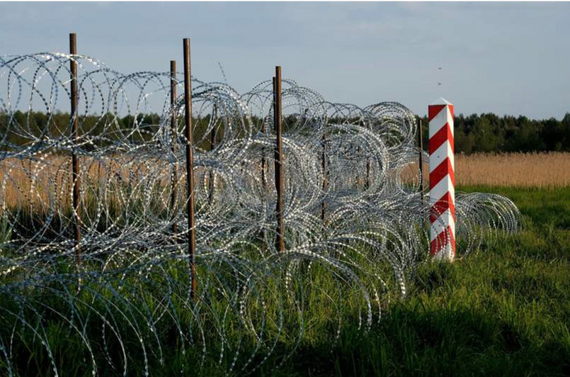 Fotografia z maja 20023, przed zabezpieczeniem siatką leśną