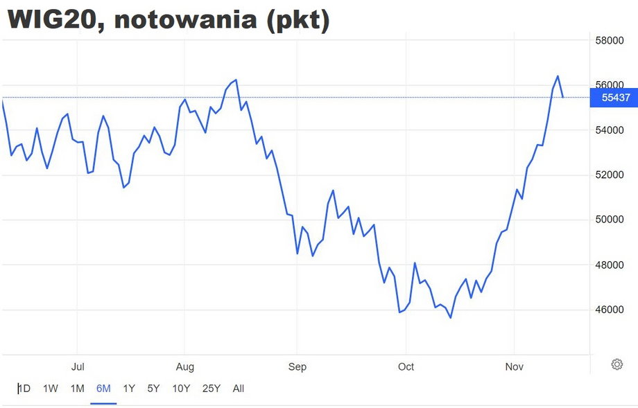Ostatni miesiąc był udany dla WIG20, ale od początku roku indeks polskich blue chips jest na wyraźnym minusie: stracił ponad 23 proc.