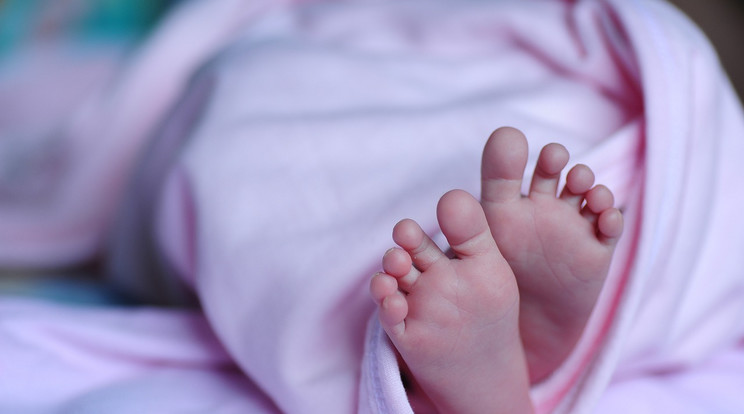 Fontos határozatot hozott a kormány az újszülöttekkel kapcsolatban / Illusztráció: Pixabay