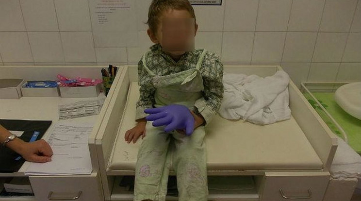 Gerzsonkát a kórházban imádták, mikor el kellett engedni, sírt a személyzet / Fotó: Police.hu