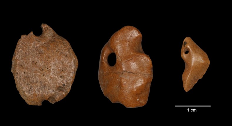27,000-year-old pendants crafted from the skin of extinct giant sloths ...