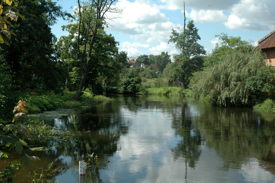 Rzeka Łyna