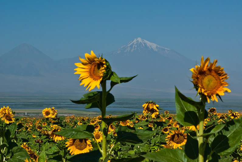 Widoczny w tle Ararat (5165m n.p.m.) to ukochana święta góra Ormian, na której miała niegdyś osiąść Arka Noego.