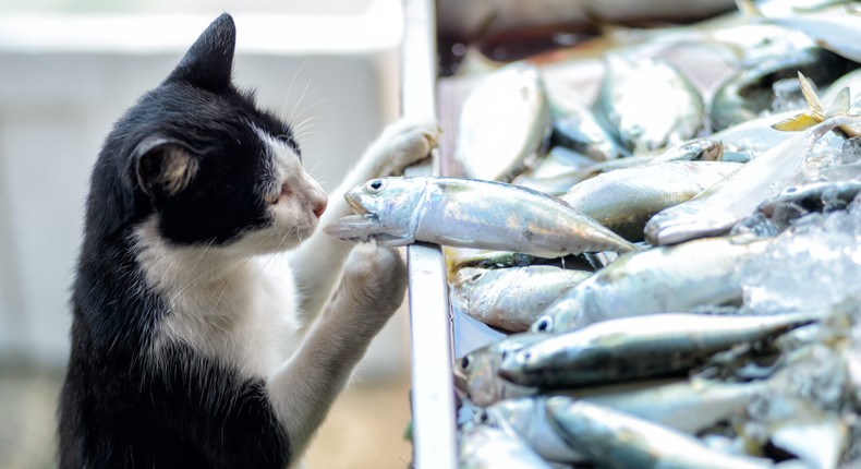 The advert was placed outside a fish and chips shop.Getty Images