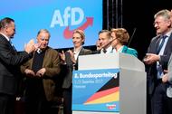 AfD party conference