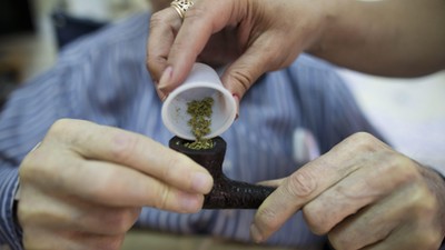 Holocaust survivors use medical marijuana