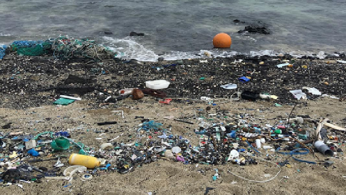 Na południowo-wschodnim krańcu Hawaiʻi (największej wyspy w archipelagu Hawajów) leży plaża Kamilo, gdzie wirujące prądy oceaniczne wyrzucają śmieci Pacyfiku.