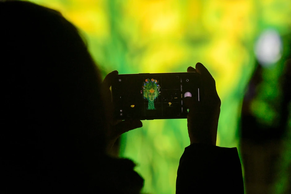 Kineski festival svetla u Novom Sadu