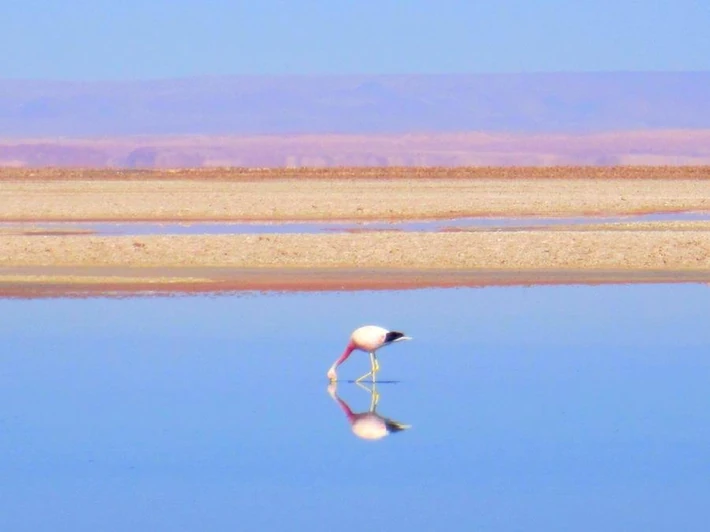 Atacama