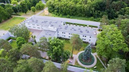 substytucyjnie pozoranctwo władzy [felieton]