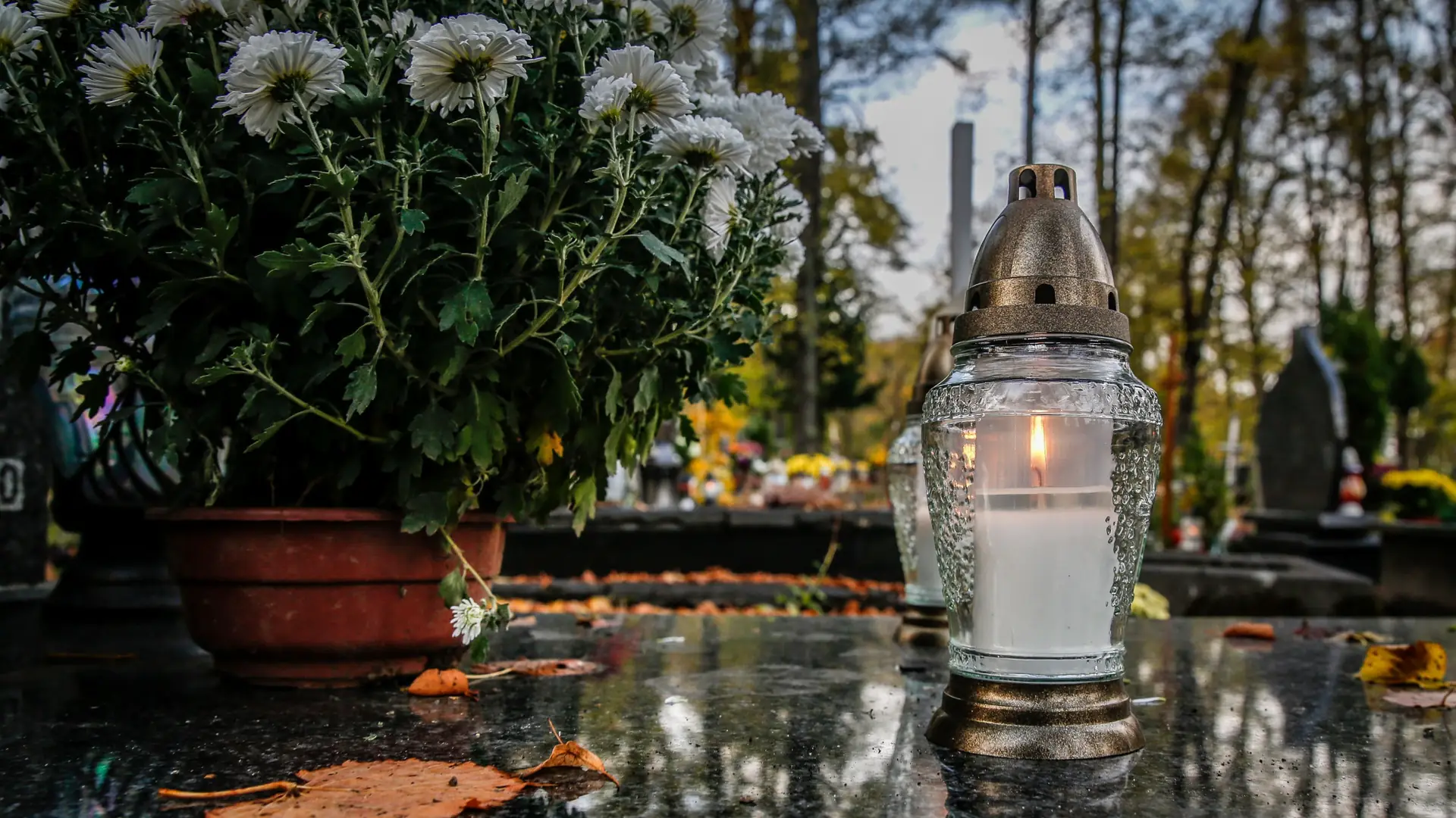 Nawał samochodów na gdańskich cmentarzach. Kierowcy zahaczali pieszych i parkowali na trawie