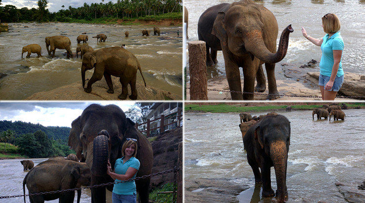 Az elefántárvaházban való látogatásom az utazásom csúcspontja volt / Fotók: Szabadfi Mónika