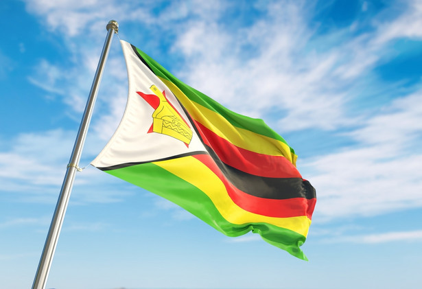 Wybory prezydenckie i parlamentarne w Zimbabwe. Kraj zmaga się z chaosem ekonomicznym