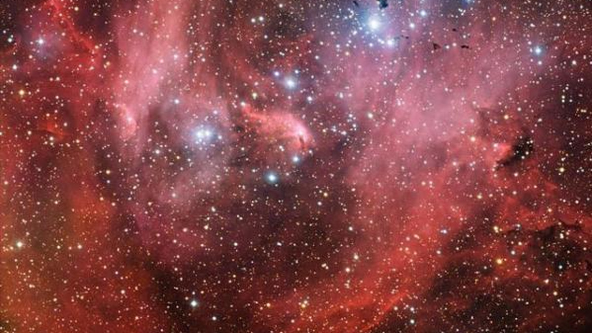 Instrument Wide Field Imager pracujący na 2,2-metrowym teleskopie MPG należącym do Europejskiego Obserwatorium Południowego dostarczył nową fotografię mgławicy Lambda Centauri (IC 2944). Obiekt ten czasami nazywany jest również mgławicą "Biegnący Kurczak".