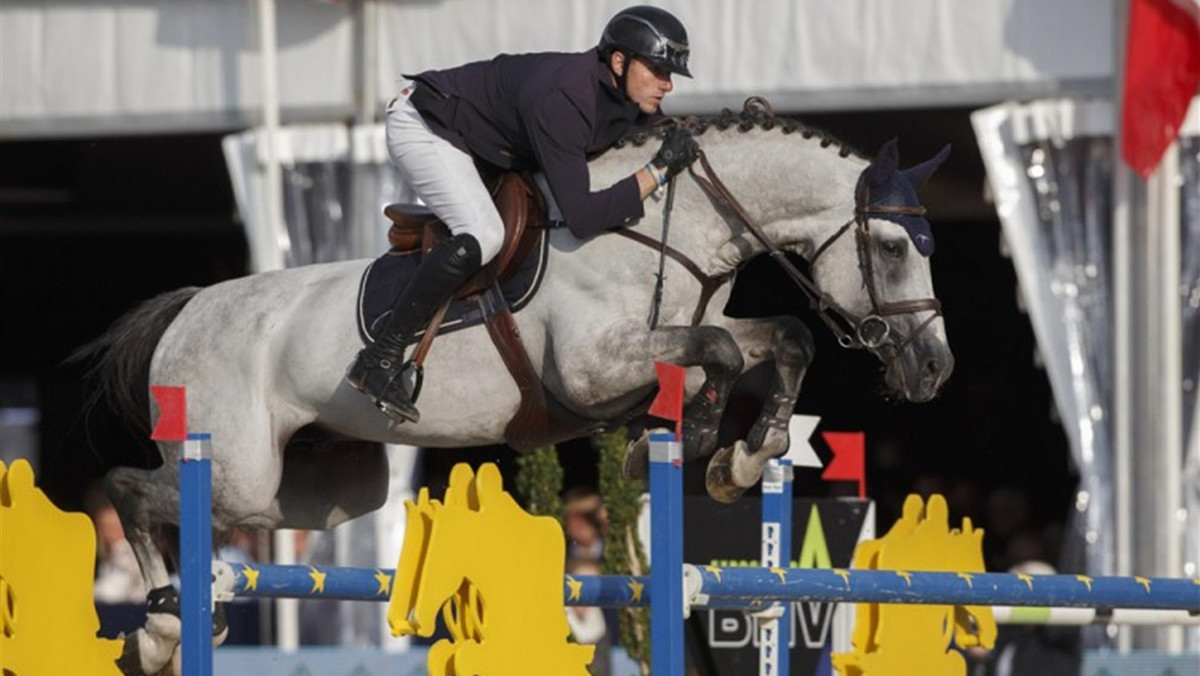 Ogier polskiej hodowli Mjt Nevados S został czempionem koni siedmioletnich podczas Hodowlanych Mistrzostw Świata Młodych Koni rozgrywanych w belgijskim Lanaken.