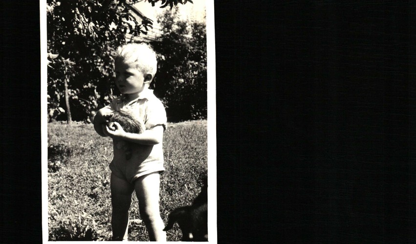 Janusz Wojciechowski