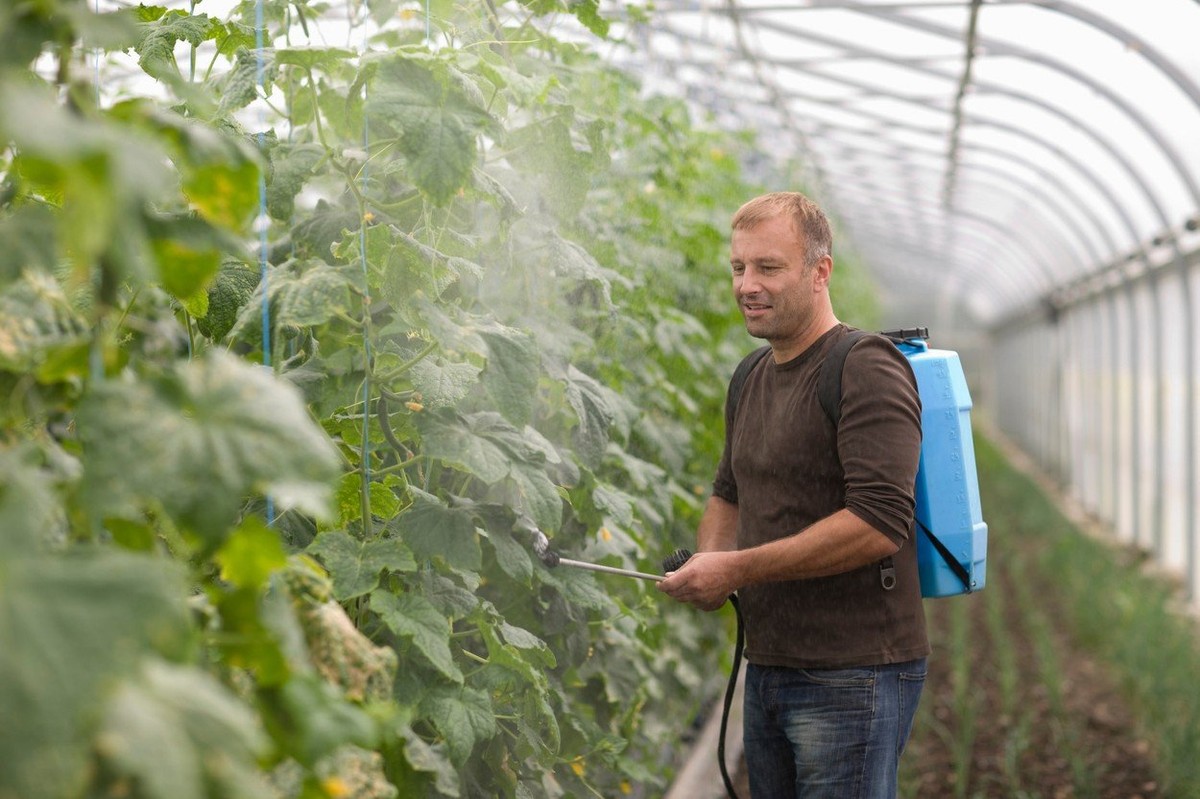 Nećete verovati gde sve ima otrovnih pesticida, a najgore od svega je što stižu i do beba