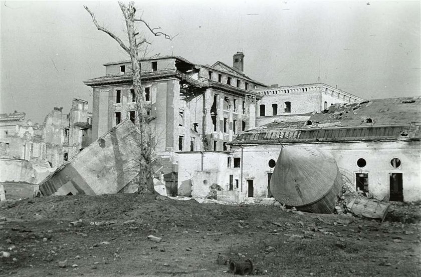 Tak wyglądał Hitler gdy umarł w 1962 r.?