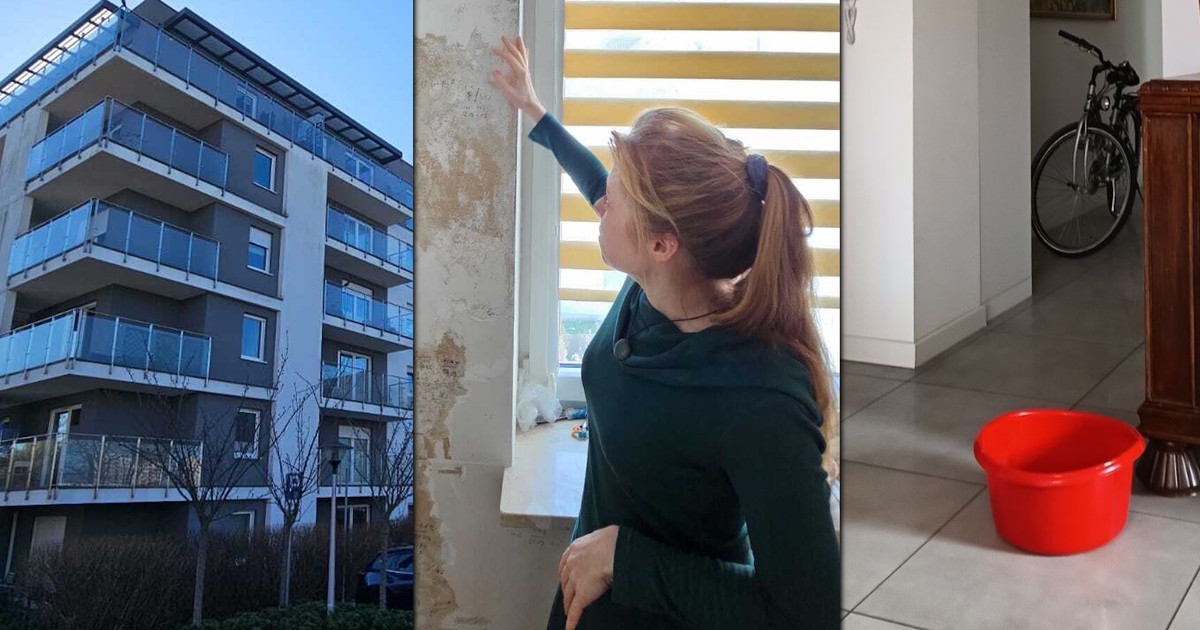 Grzyb i zalane mieszkania w nowym bloku. Mieszkańcy wściekli. "Padliśmy ofiarą patodeweloperki"