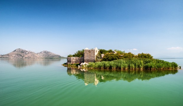 Grmožur