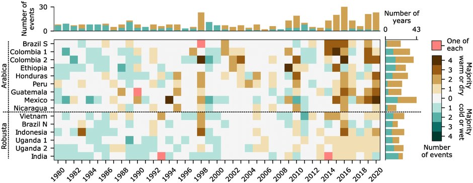 Grafika przedstawiająca zmiany i częstotliwość zagrożeń klimatycznych dla produkcji kawy w poszczególnych krajach produkujących ziarna kawy w latach 1980-2020. Im mocniejsza zieleń, tym wilgotniejsze warunki. Biały kolor oznacza warunki neutralne. Im ciemniejszy brąz, tym bardziej suche warunki. Różowe punkty to lata, kiedy dla kawowca zagrożeniem była zarówno susza jak i nadmierne opady. Źródło: PLOS Climate, 2023.