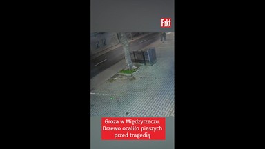 Groza w Międzyrzeczu. Drzewo ocaliło pieszych przed tragedią