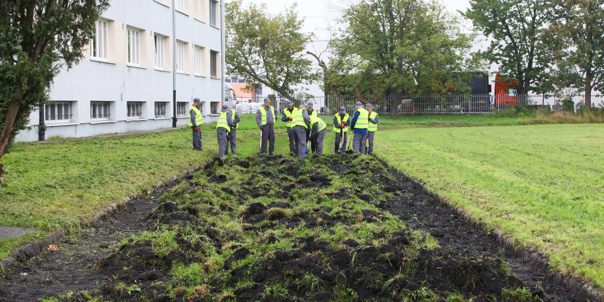 Więźniowie sprzątają przy komendzie