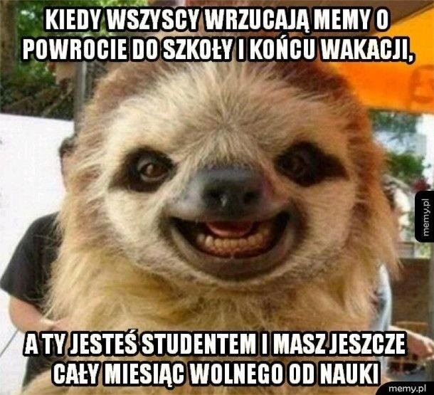 Nieubłagany koniec wakacji - memy