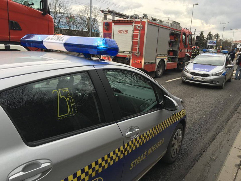 Koń zasłabł przy ul. Monte Cassino. Akcja ratunkowa