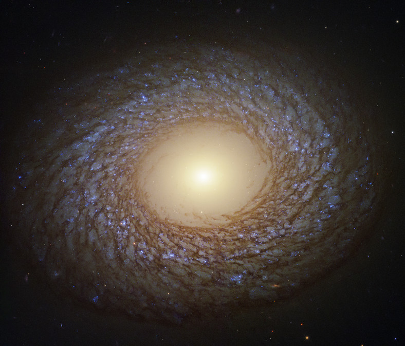 C48 - NGC 2775