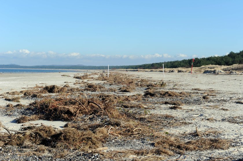 Kopalnia węgla na plaży! Sensacja nad bałtykiem