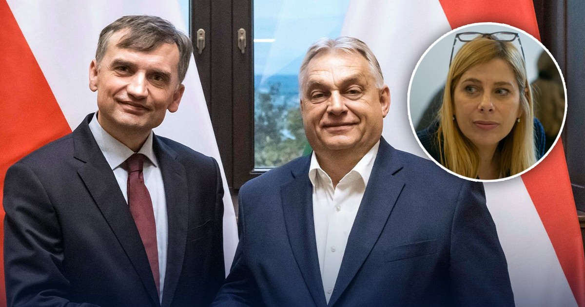 Ziobro dostanie pracę w Budapeszcie? Węgierska dziennikarka zabrała głos
